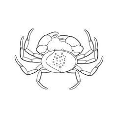 Crab organic marine seafood vector illustration outline