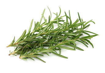 Fototapeta premium Branch of rosemary on white background. 