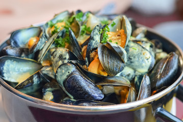 Mussels in a casserole with sauce curry