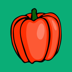 Vector hand drawn cartoon illustration of red bell pepper. Sketch of farm and garden vegetable, harvesting season. Icon isolated on green background