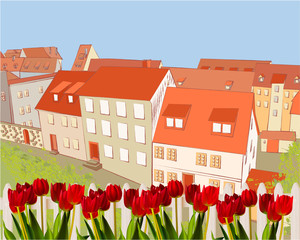 Illustration with different isometric houses. Collection of houses, buildings with the fence