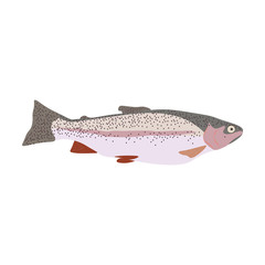 Trout fish nature healthy food vector illustration