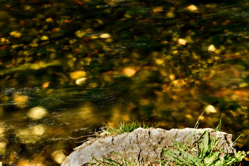 On the side of a stream through a village.