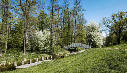 Fototapeta premium bridge over the creek in the spring park