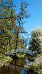 spring meabridge over the creek in the spring parkdow full of dandelions