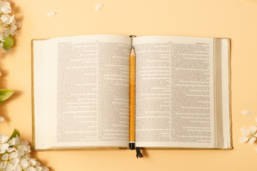 The Bible with spring flowers on a color background. Concept for faith, spirituality and religion. Peace, hope, dreams concept