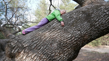 The child lies on a thick tree in the forest. Oak