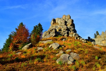 stone mountains autumn yellow leaves dry grass
