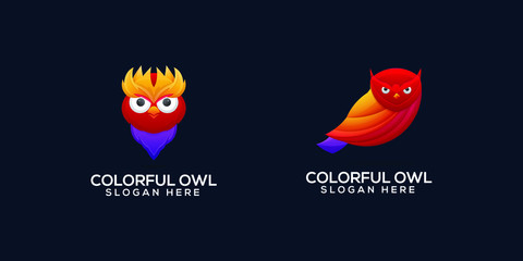 colection colorful owl logo design