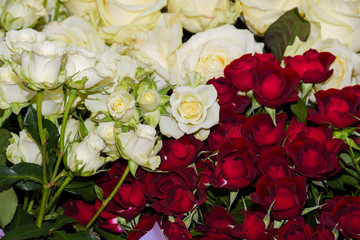 Valentine's Day, Mother's Day, Woman's Day