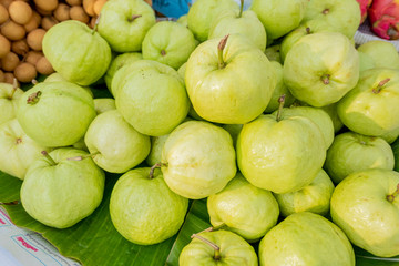 The pile of natural organic guava under the evening sunlight woth others background