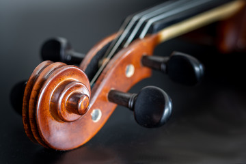 Obraz na płótnie Canvas snail of the violin on black background front view 
