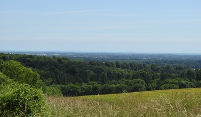 Krajobraz na okolicę miasta Chichester w Anglii
