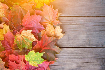 Yellow, green and red tree autumn leaves and berries frame composition on old wooden background. Great season texture with fall mood. Nature september and october background. Copy space, top view.