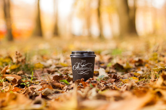 Hello Autumn hand lettering with coffee mug for coffee house, coffee to go promotion. Take-out coffee cup in autumn park.