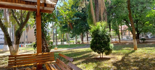 hammock on the beach