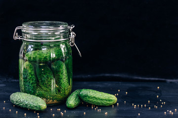 Pickling cucumbers in a jar on a black background