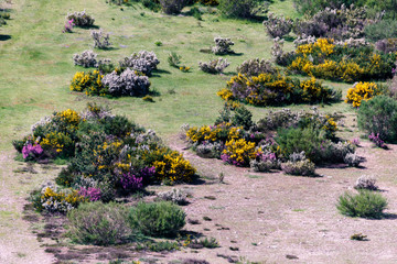 Obraz premium landscape in the north of spain