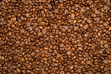 Arabica coffee beans with top view