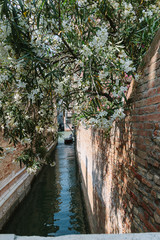 Fototapeta na wymiar Italian narrow street. Water canel. Bright wall, blooming white tree and unrecognizable people. Traditional canal street with gondola in Venice, Italy. Boat with silhouette in sunny day. Summer time.
