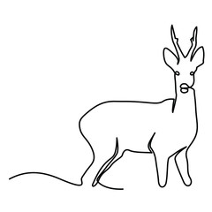 one line continuous drawing beautiful deer