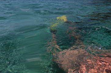 A man swims under water.