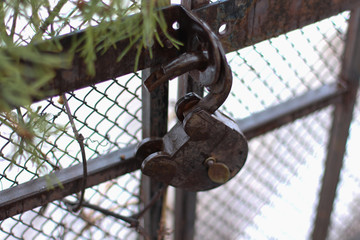 Old rusty padlock on the gate with a netting net