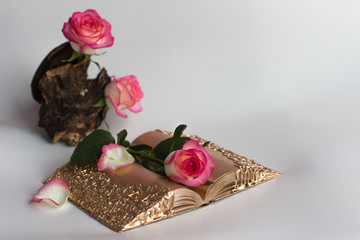 Golden book with pink roses on a white background