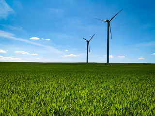 wind turbines on green field