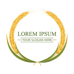 simple wheat grain vector icon logo design.