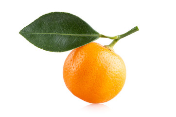 Fototapeta na wymiar Fresh mandarin orange