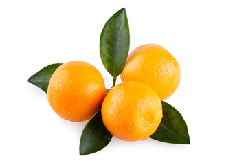 Fresh mandarin oranges