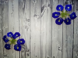 blue flowers on wooden background