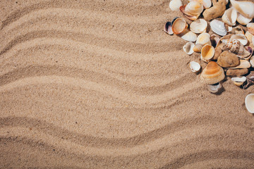Fototapeta na wymiar Top view of sandy background with dunes and seashells