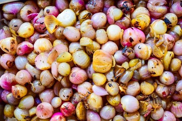 Fried purple onion shallots