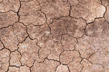 The surface is brown or arid land, the soil surface is cracked from arid agriculture on global warming.