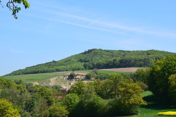 Eifel mit Wald und STeinbruch