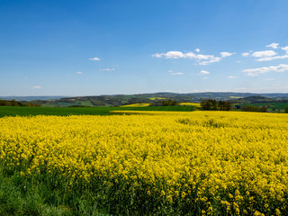 Blick über das Vogtland im Frühling