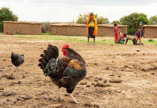CONVIVENCIA EN UN POBLADO MASAI