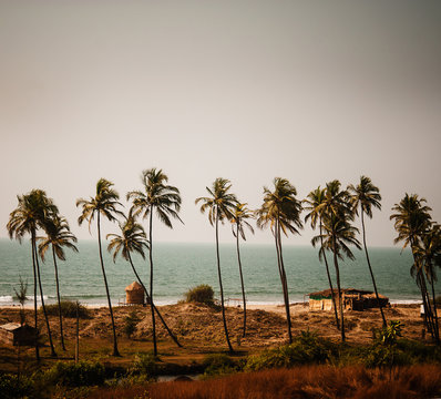 Beaches Of Goa, Western India