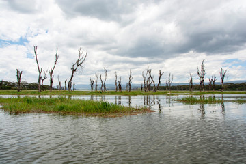 LAGOS EN ÁFRICA