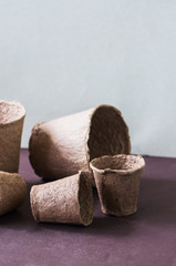 Group of  peat pots of different sizes.