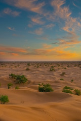 Amazing colorful evening view from the top of a erg dune, at the Sahara Desert in Mhamid, Zagora, Morocco