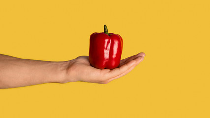 Healthy eating. Millennial man holding red bell pepper on orange background, closeup with empty space. Panorama
