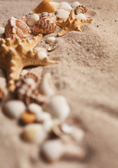 Fototapeta na wymiar Summer beach vacation or holiday background with sand seashells and starfish.