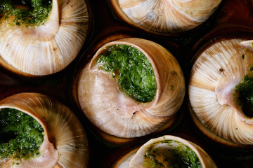 Baked snails with garlic butter and fresh herbs in a frying pan, selective focus