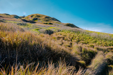Scenic view at the slopes of Mount Pulag National Park, Benguet, Philippines