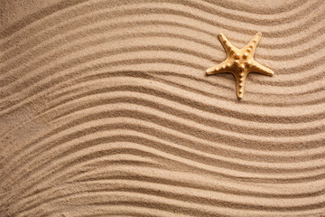 Fototapeta na wymiar Starfish on a summer beach on textured sand. Place for text. Summer background. Summer time.