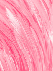 Beautiful abstract white and pink feathers on white background and soft white feather texture on pink  pattern and pink background, feather background, pink banners