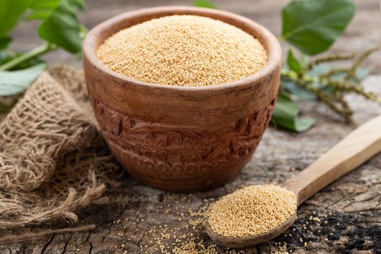 Raw Organic Amaranth Grain in a Bowl witn wooden spoon and Amaranth plant on Rustic wooden background. Healthy colorful gluten free food concept